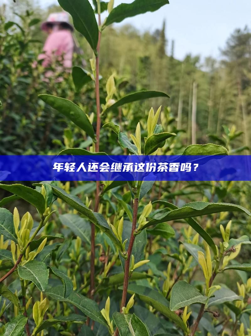年轻人还会继承这份茶香吗？
