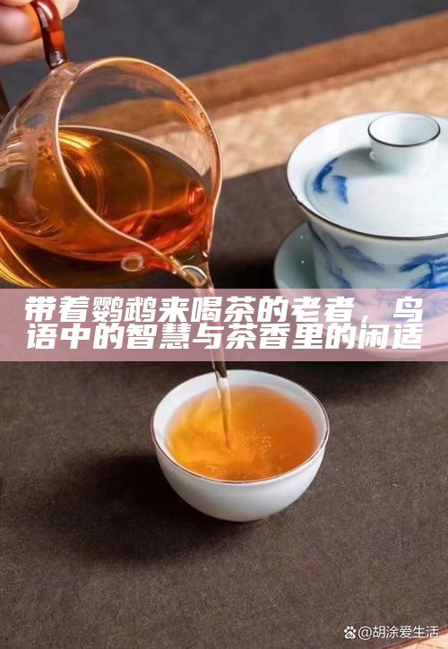 带着鹦鹉来喝茶的老者,鸟语中的智慧与茶香里的闲适