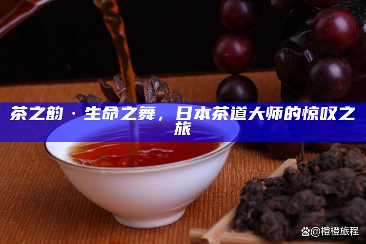 茶之韵·生命之舞,日本茶道大师的惊叹之旅