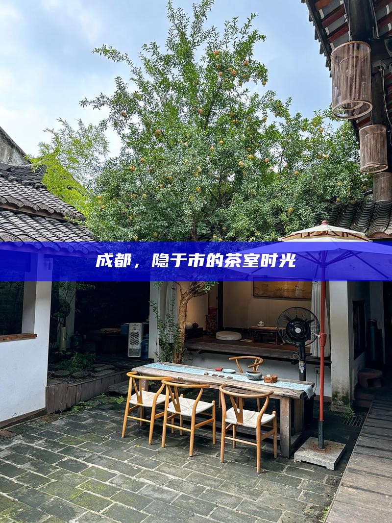 巷弄幽深处,茶香静谧时,在宽窄巷子寻找避世角落